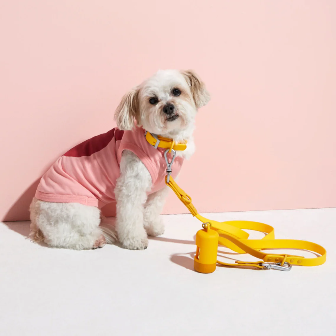 Rose W. Adjustable Waterproof Dog Lead - Image 4