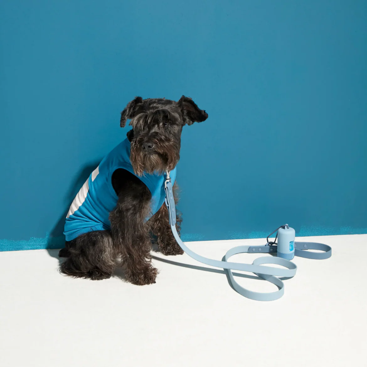 Rose W. Adjustable Waterproof Dog Lead - Image 8