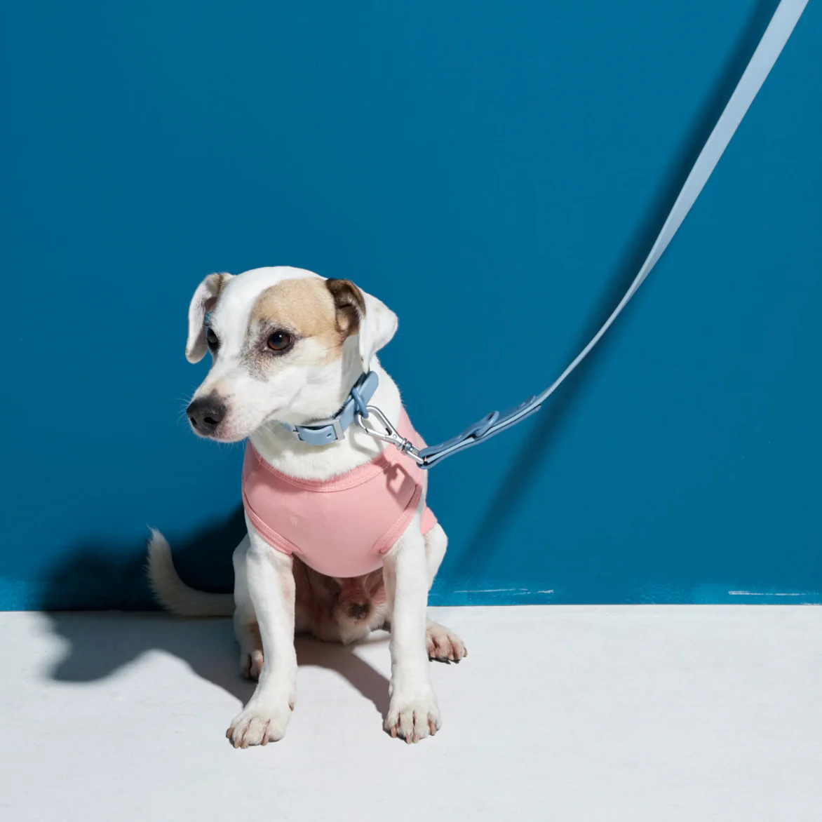 Rose W. Adjustable Waterproof Dog Lead - Image 9