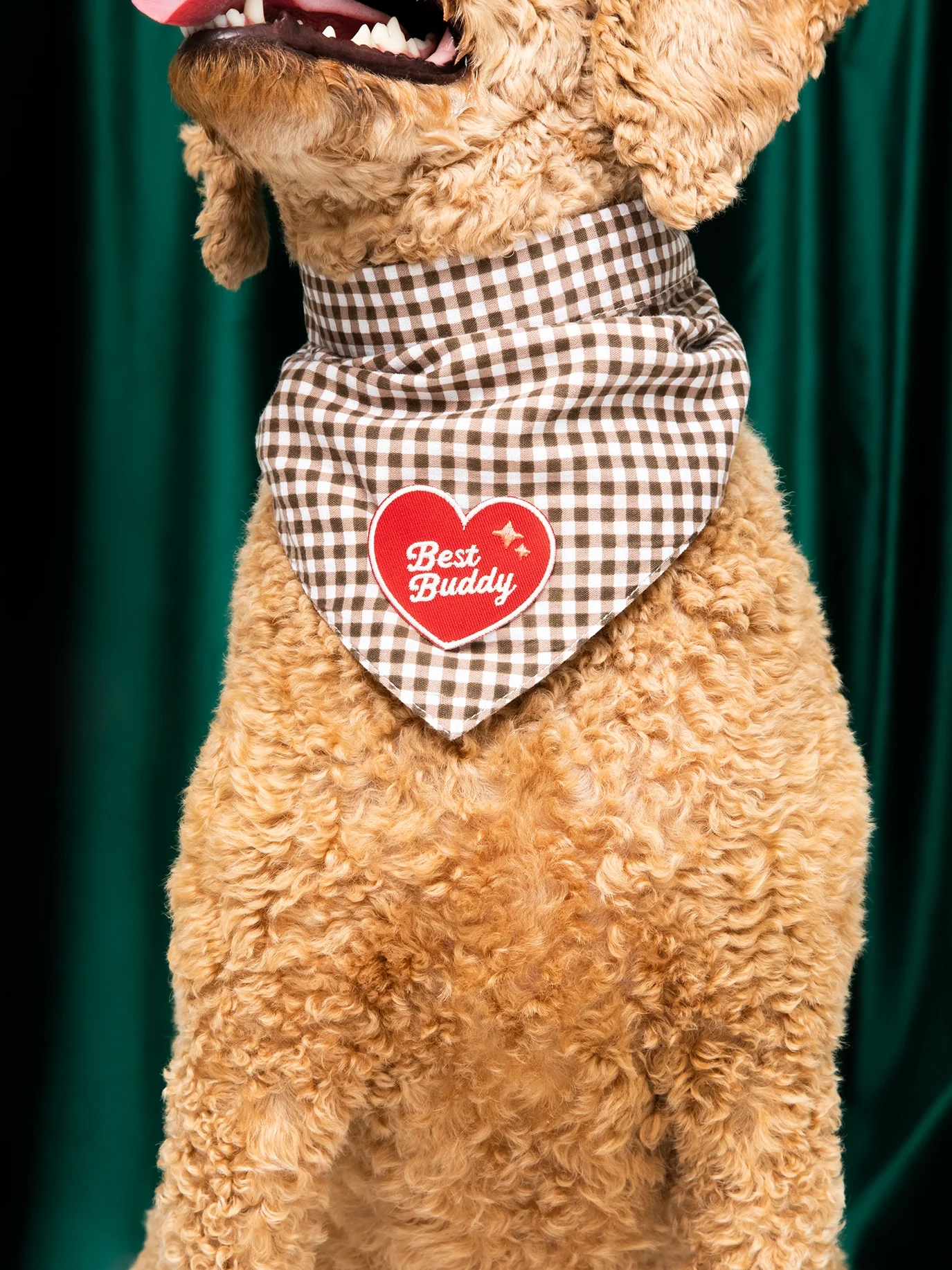 Scout's Honour, Best Buddy, Iron-On Patch for Pets - Image 4