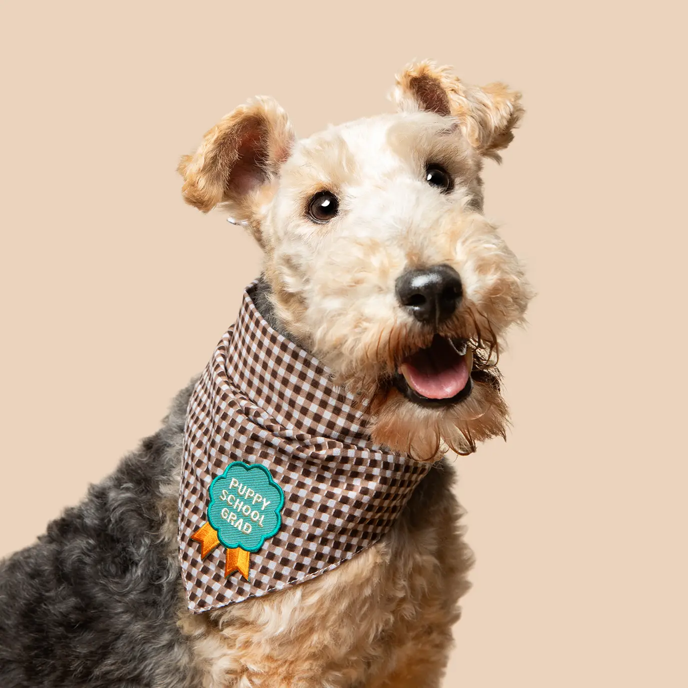 Scout's Honour, Puppy School Grad, Iron On Patch for Pets - Image 3