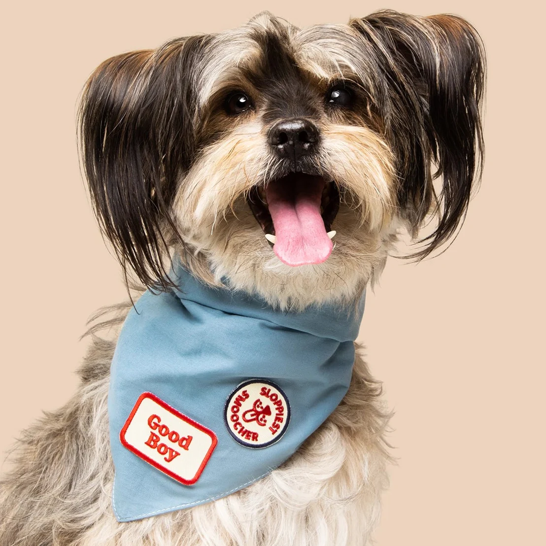 Scout's Honour, Sloppiest Smoocher, Iron On Patch for Pets - Image 2