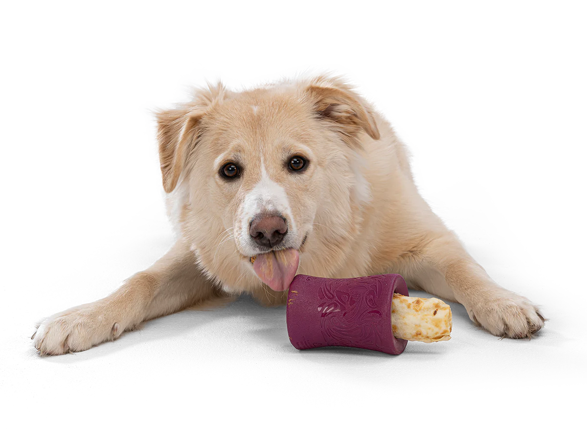 West Paw Seaflex FUNNL Chew Holder - Image 10
