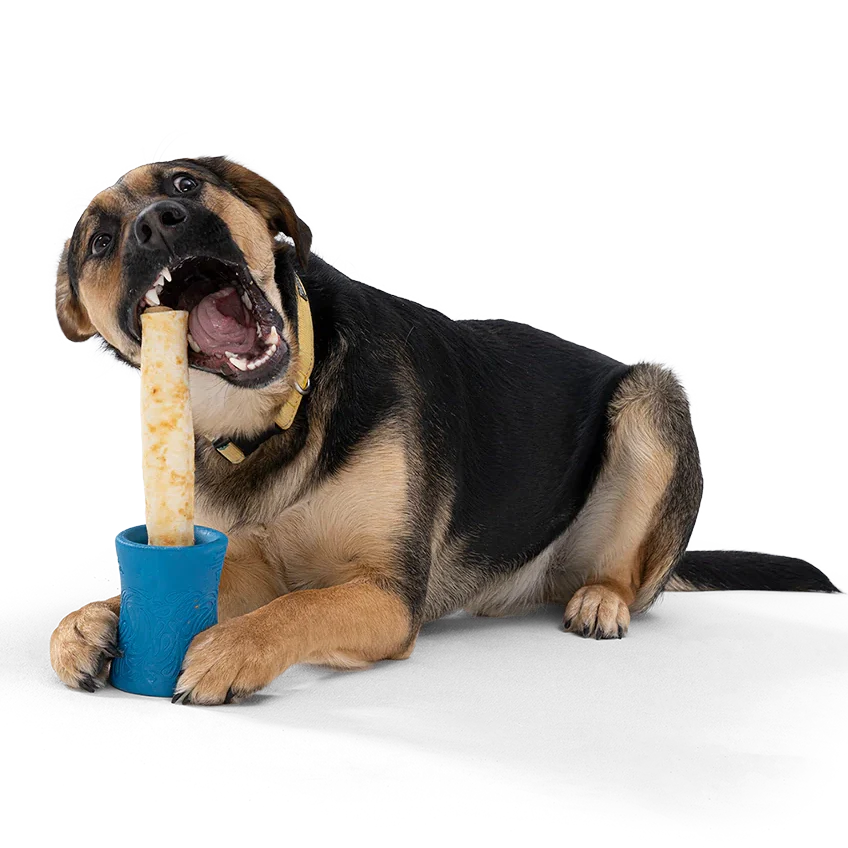 West Paw Seaflex FUNNL Chew Holder - Image 3