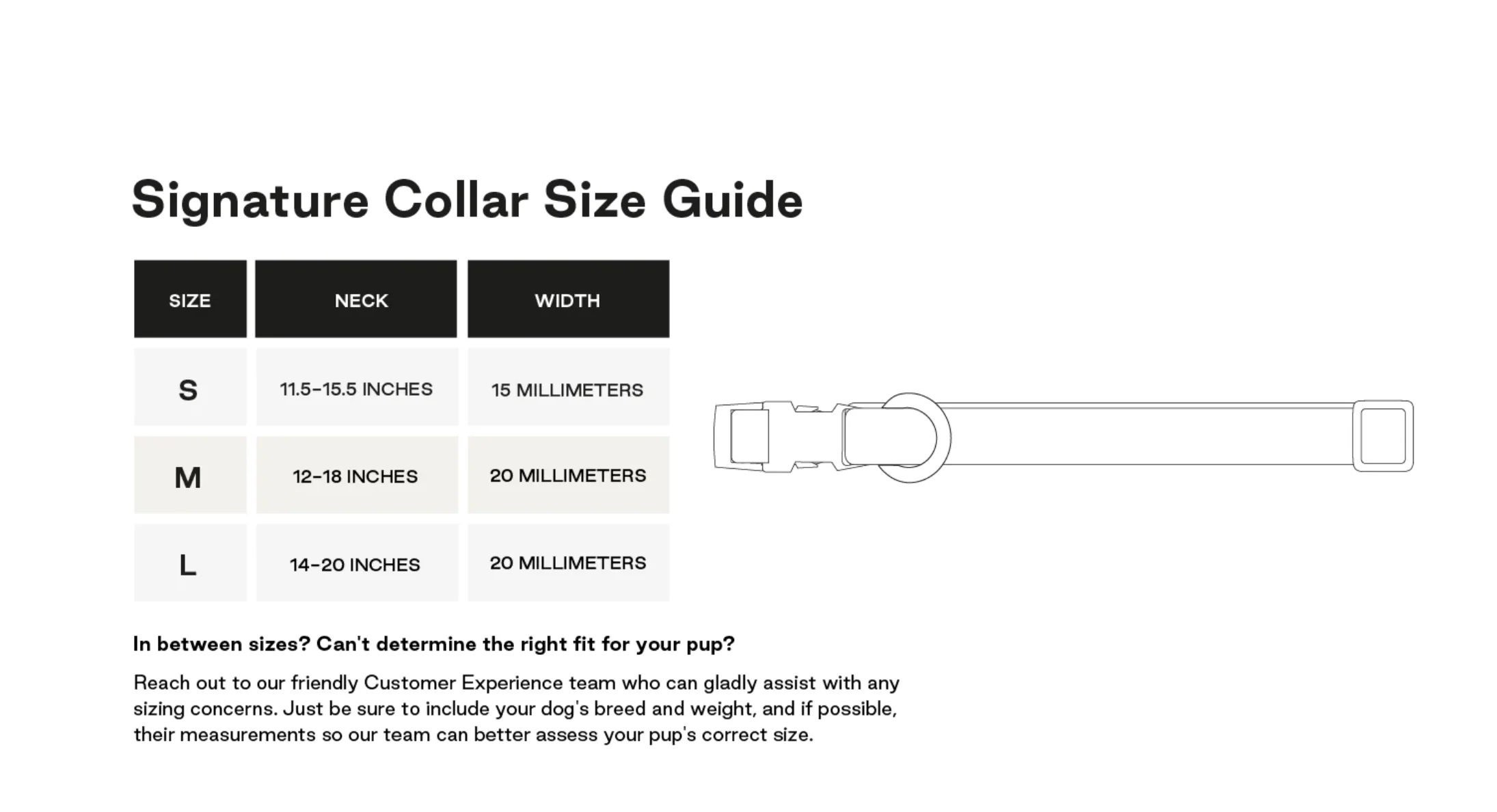 Signature Dog Collar - Sand - Image 4