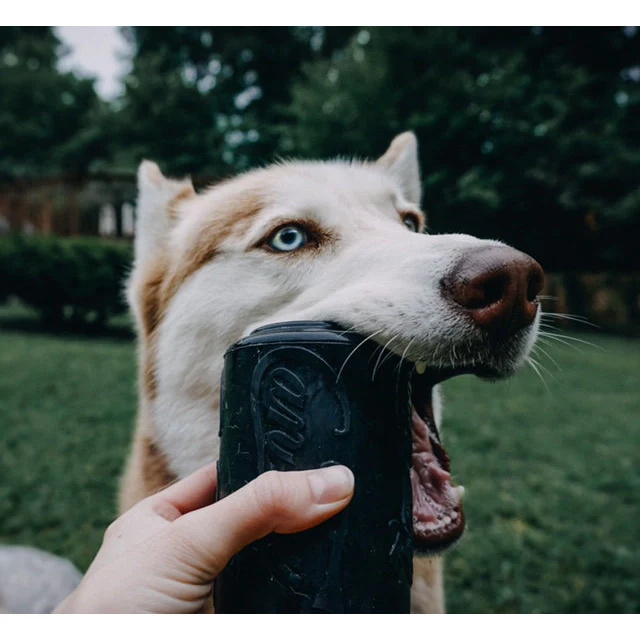 SodaPup Can Chew Toy Ultra Durable Treat Dispenser for Power Chewers - Image 4