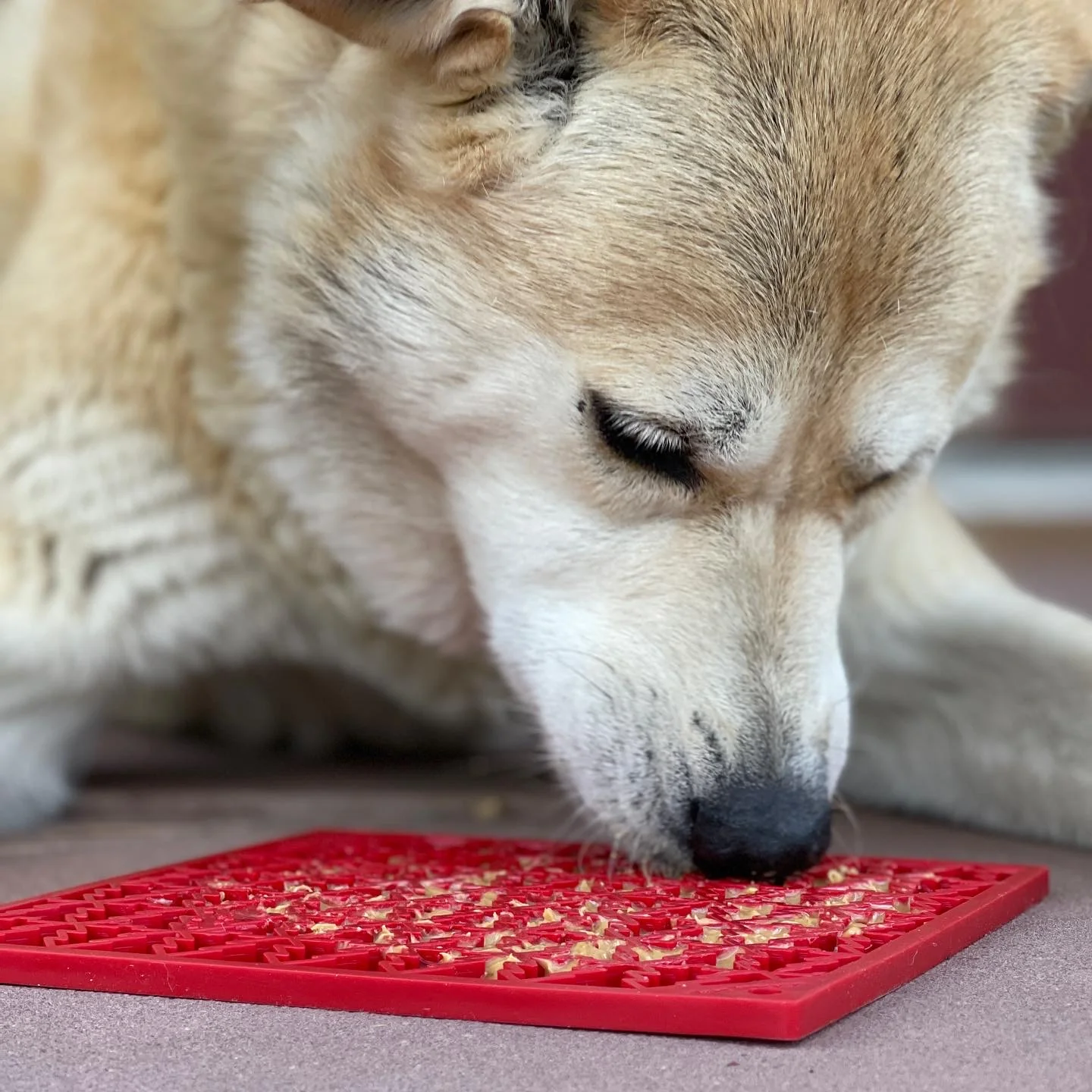 SodaPup Christmas Tree Design Lick Mat - Image 6