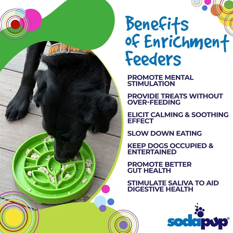 SodaPup Garden Design Shallow Dog Slow Feeder Tray - Image 5
