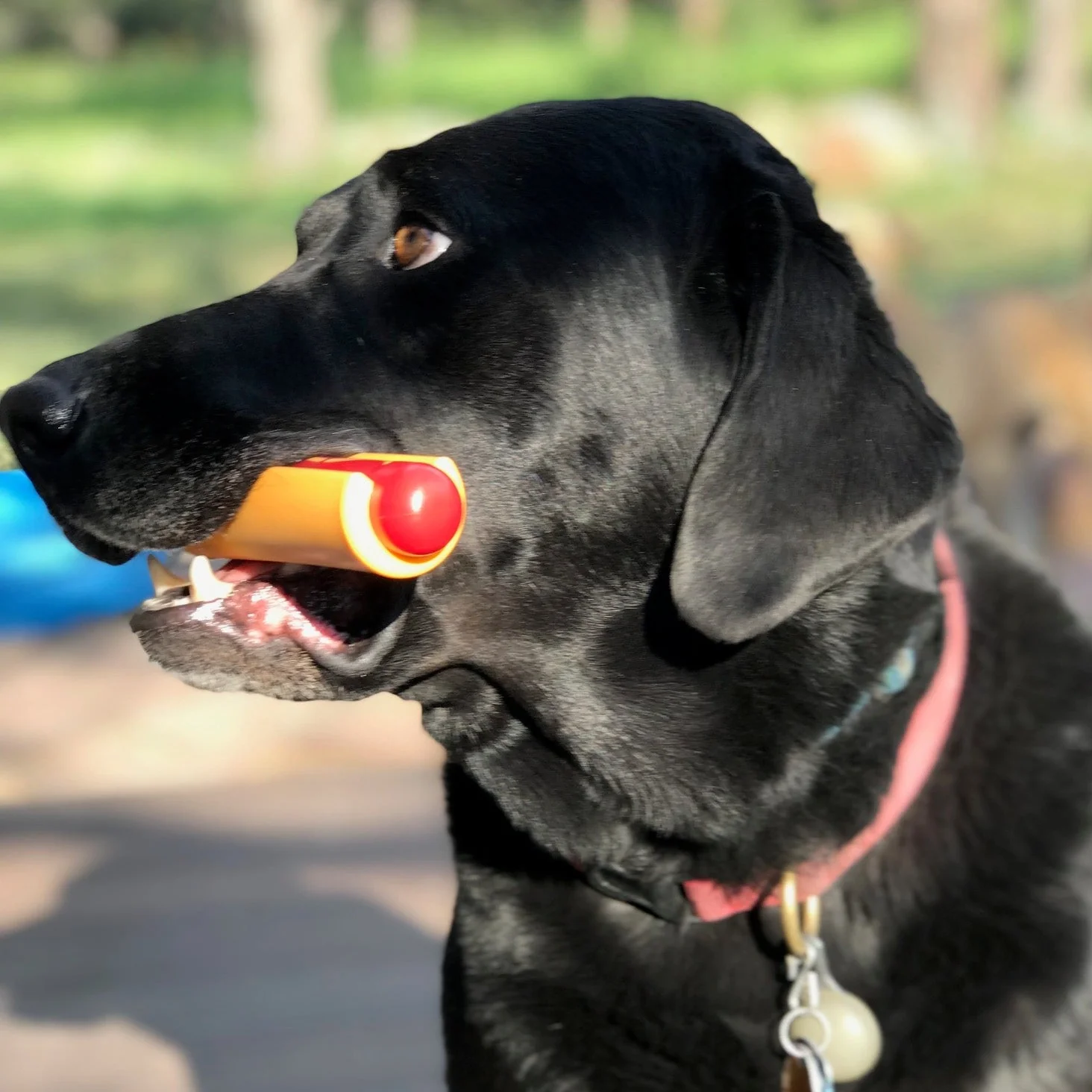 SodaPup Hot Dog Chew Toy - Image 3