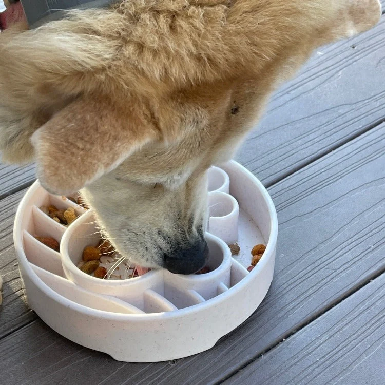 SodaPup Java Design Slow Feeder Dog Bowl - Image 2
