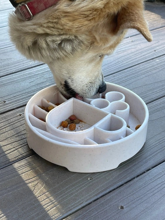 SodaPup Java Design Slow Feeder Dog Bowl - Image 4