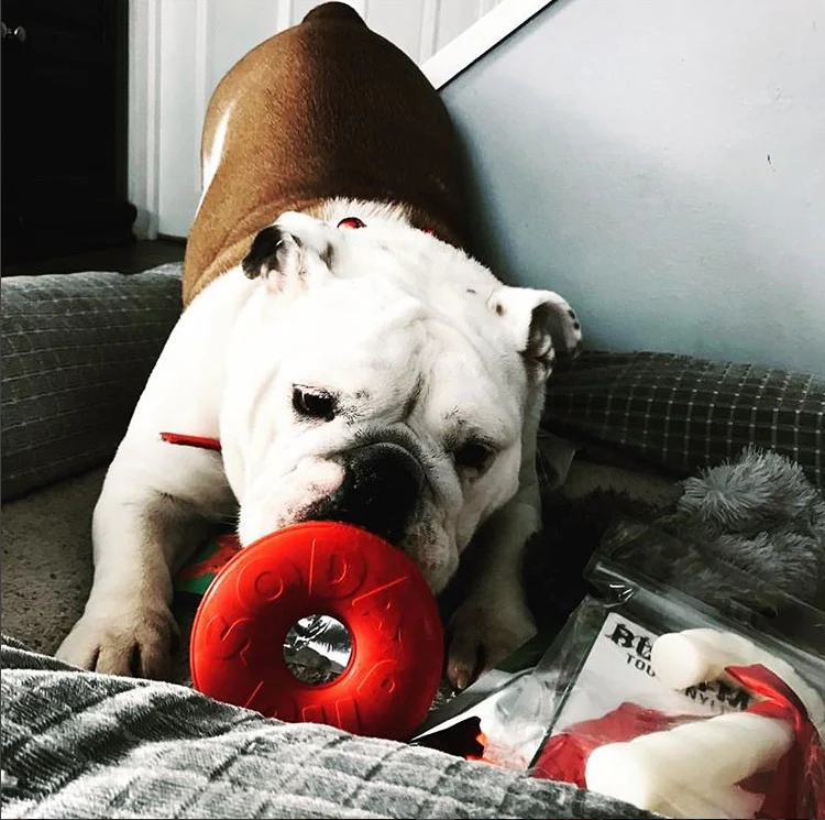 SodaPup Life Saver Treat Dispenser Chew Toy - Image 4