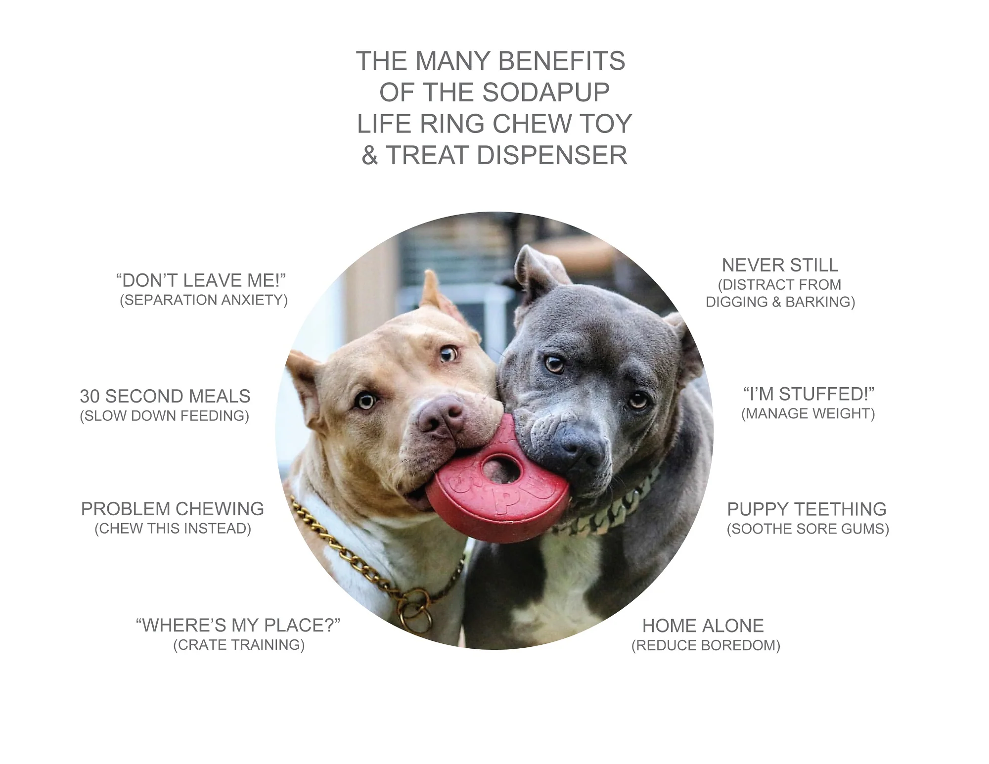 SodaPup Life Saver Treat Dispenser Chew Toy - Image 5