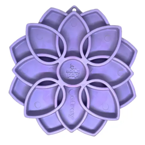 SodaPup Mandala Softie - Image 3