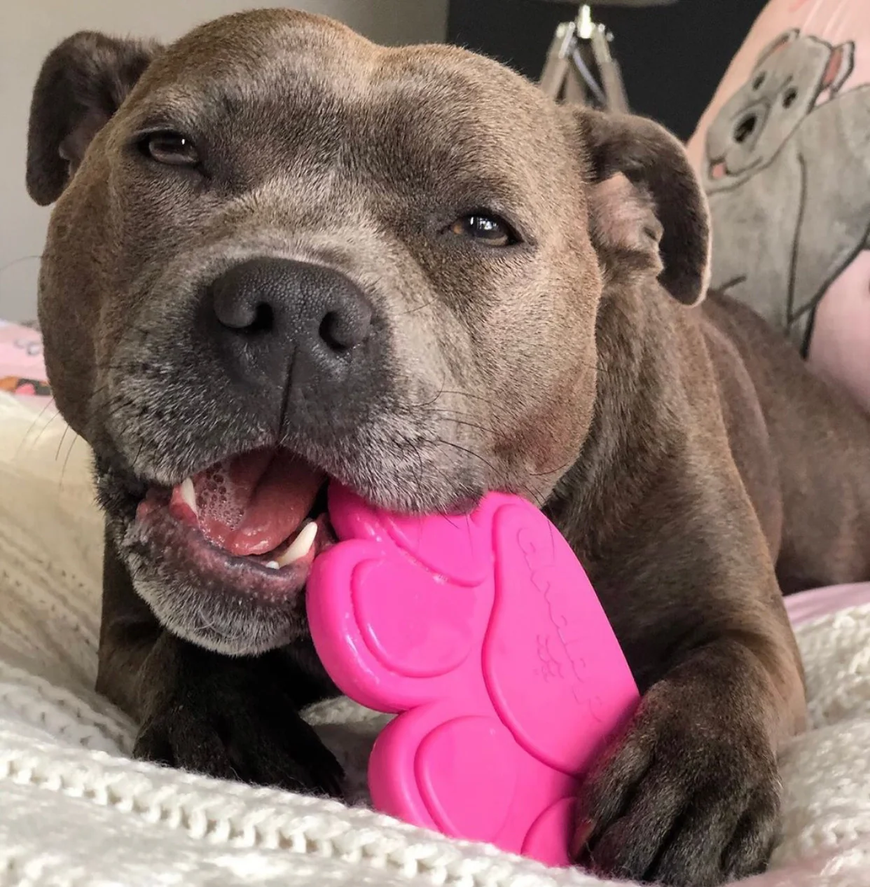 SodaPup Pink Paw Print Ultra Durable Chew Toy - Image 2