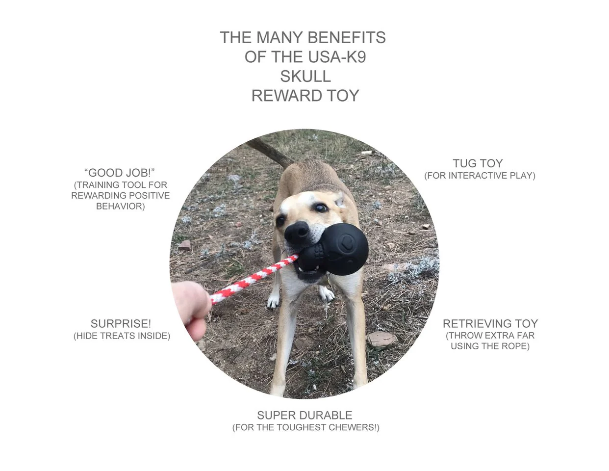 SodaPup USA-K9 Skull Rope Chew Toy - Image 5