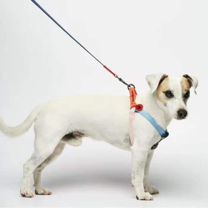 Colourful Sonia Dog Harness - Vermillion and Cherry Multicolour - Image 3