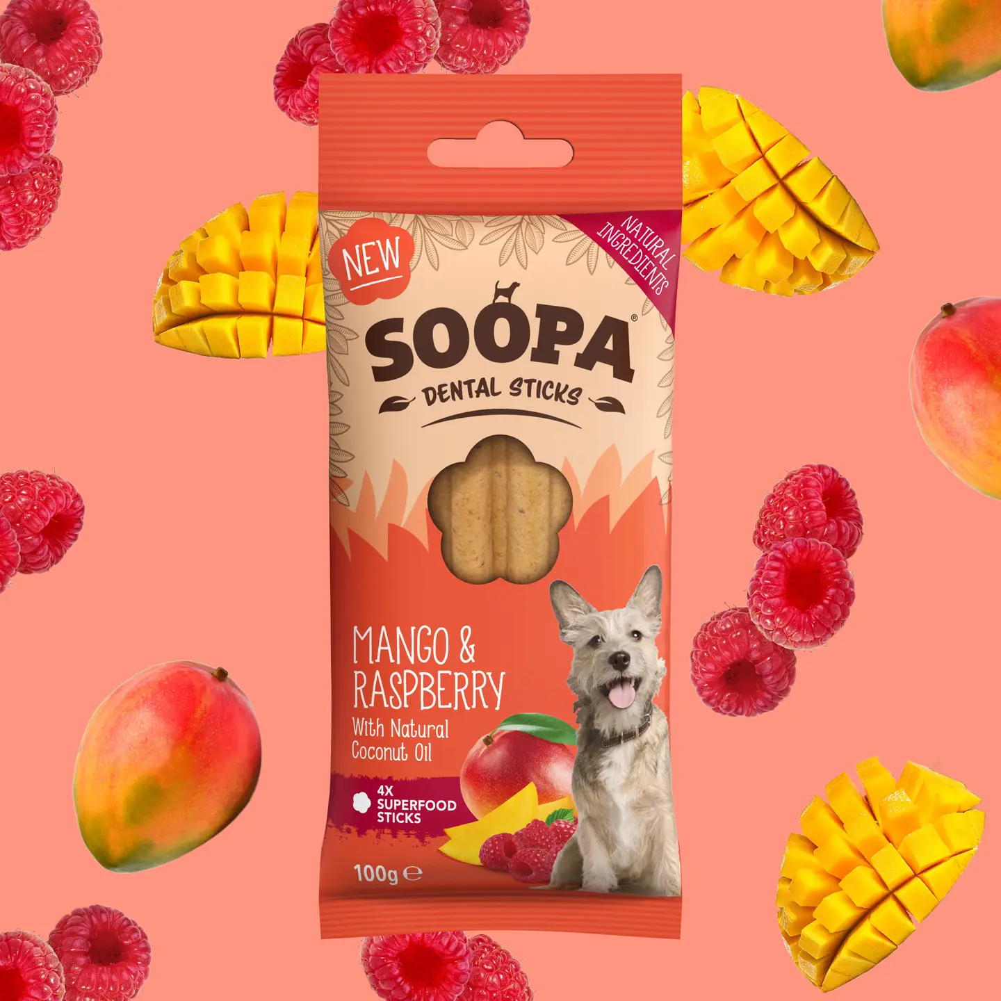 Soopa Dog Dental Sticks - Mango & Raspberry