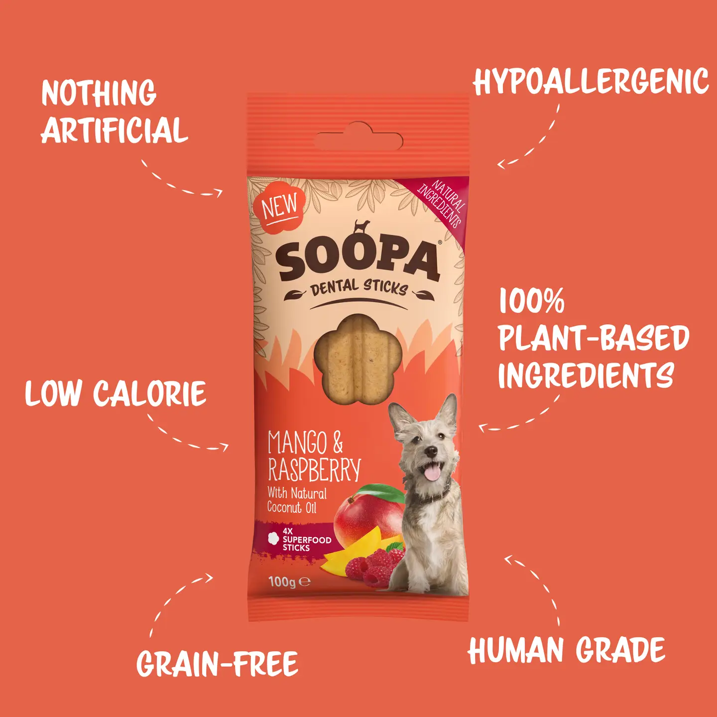 Soopa Dog Dental Sticks - Mango & Raspberry - Image 2