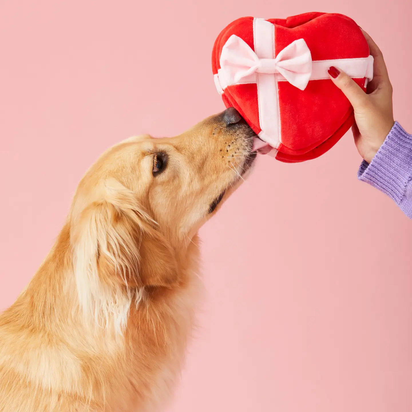 The Foggy Dog Heart Burrow Dog Toy
