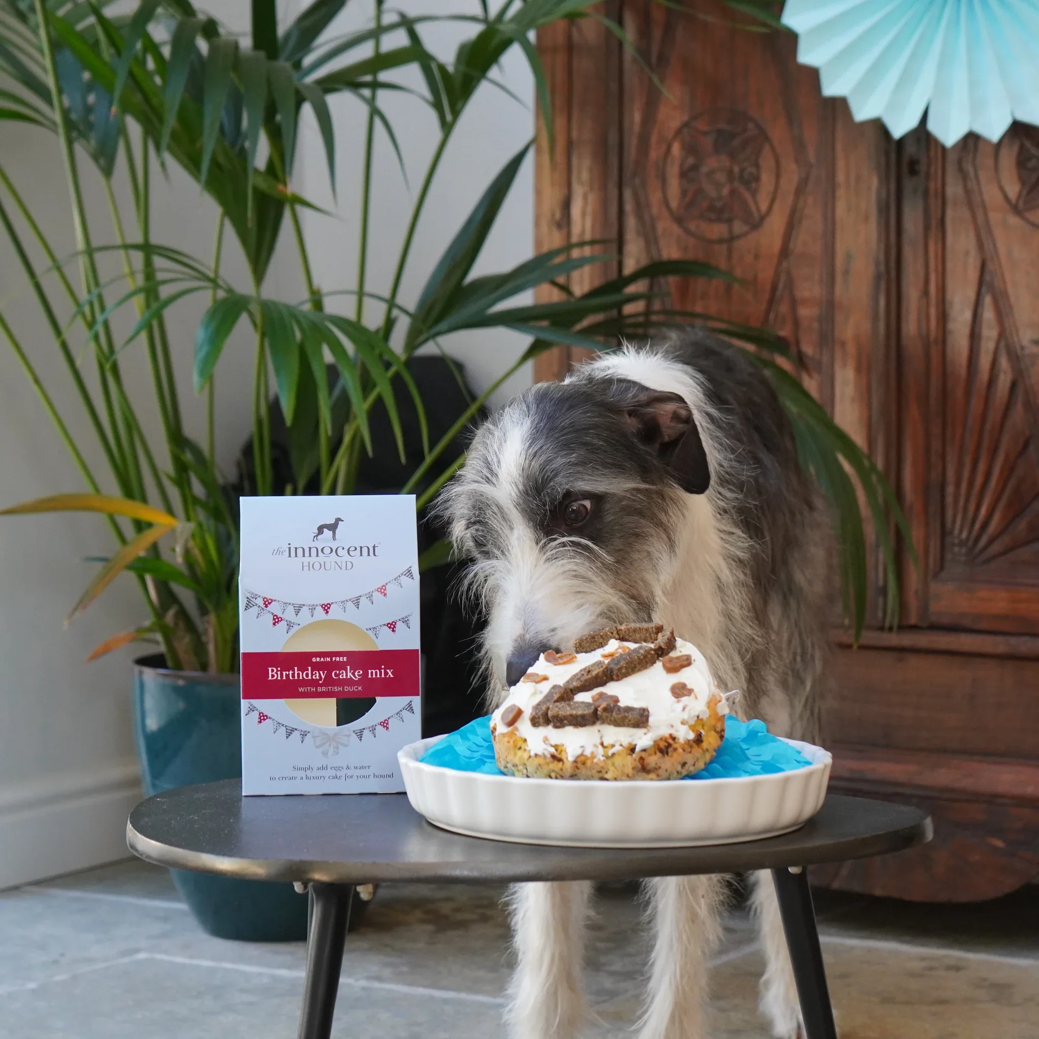 The Innocent Hound Grain-Free Dog Birthday Cake Mix - Image 2