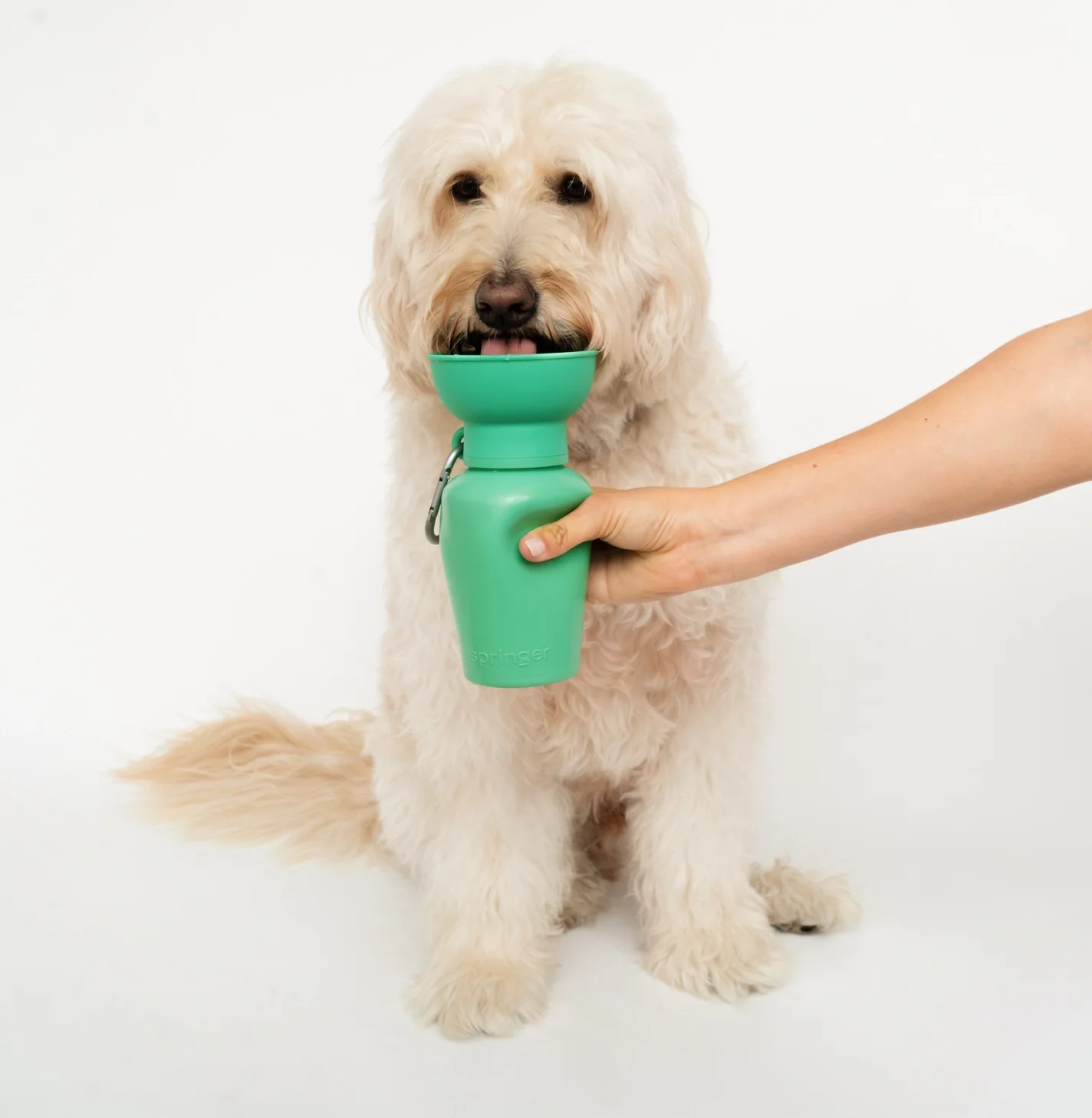 Travel Water Bowl Flip Top Water Bottle for Dogs - Image 6
