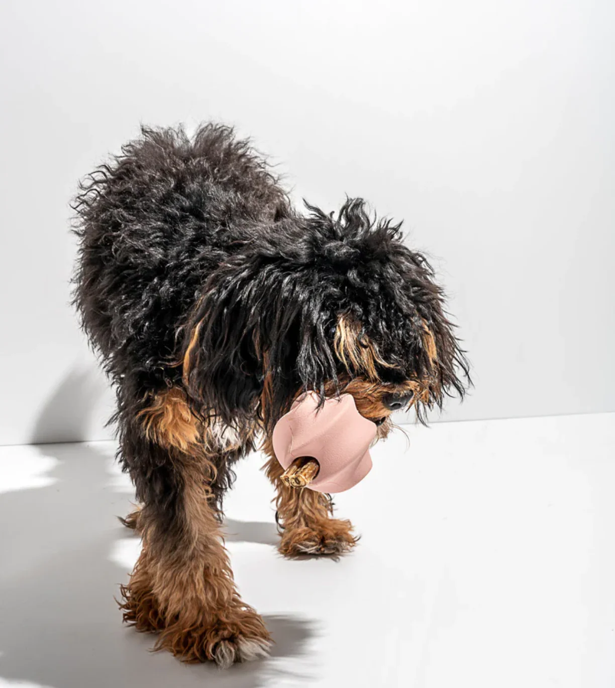 "Twist Toss" Treat Dispensing Dog Toy - 2 Colours / Sizes - Image 6