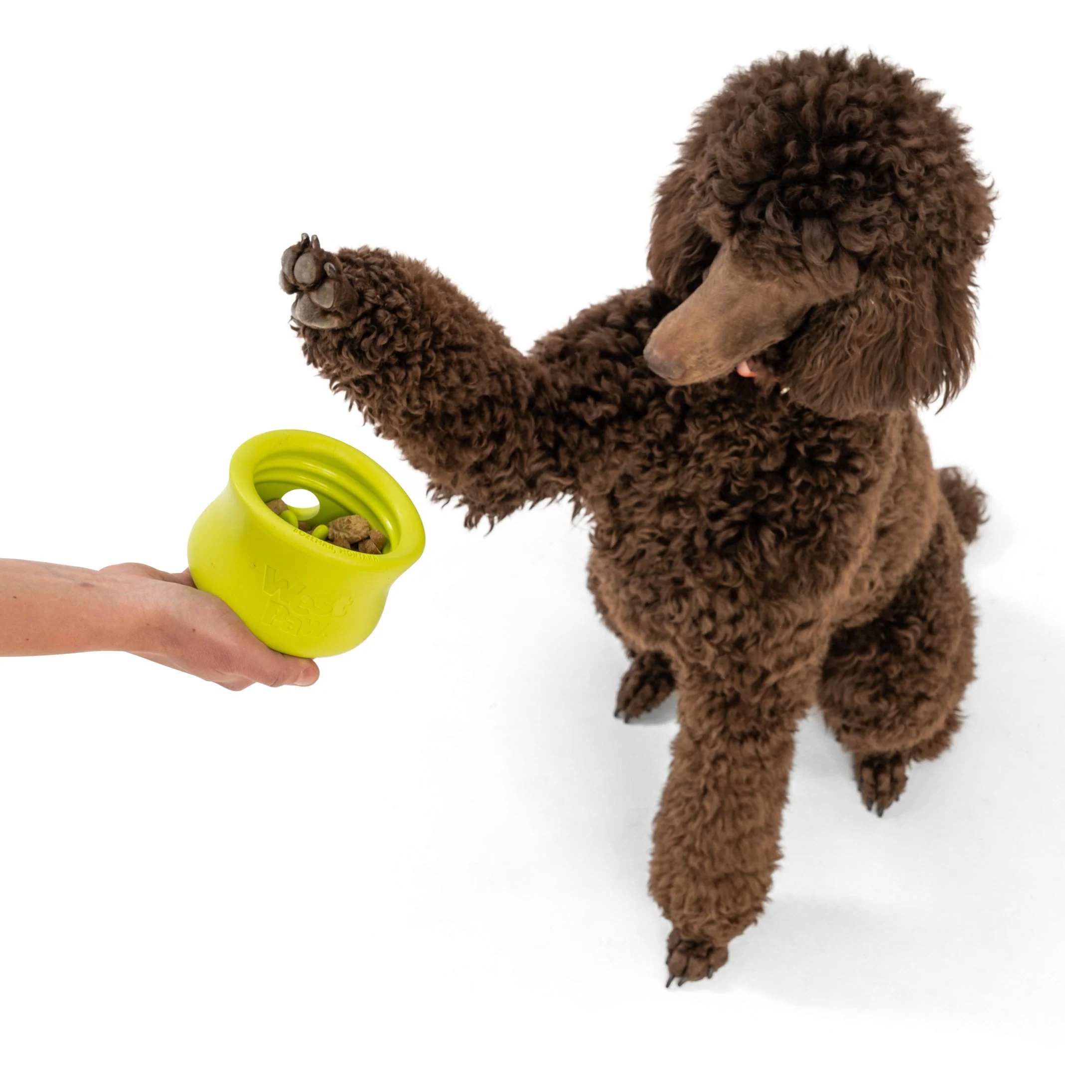 West Paw Zogoflex Toppl Granny Smith Green - Image 6
