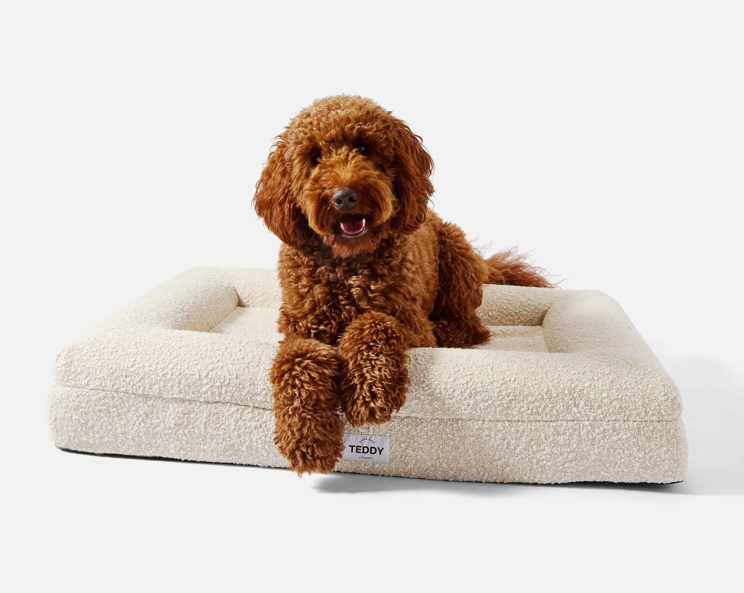 White Boucle Fabric Bed for Dogs - S/M/L - Image 10