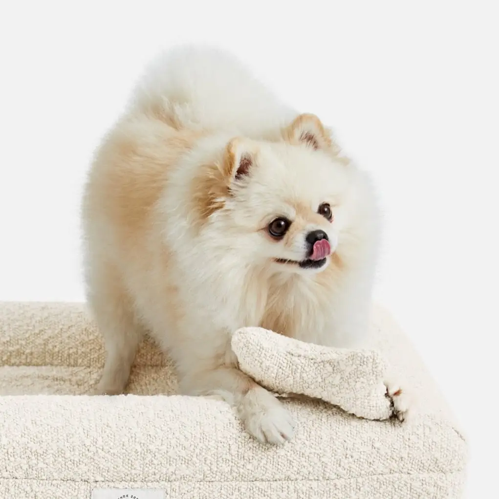 White Boucle Fabric Bed for Dogs - S/M/L - Image 11