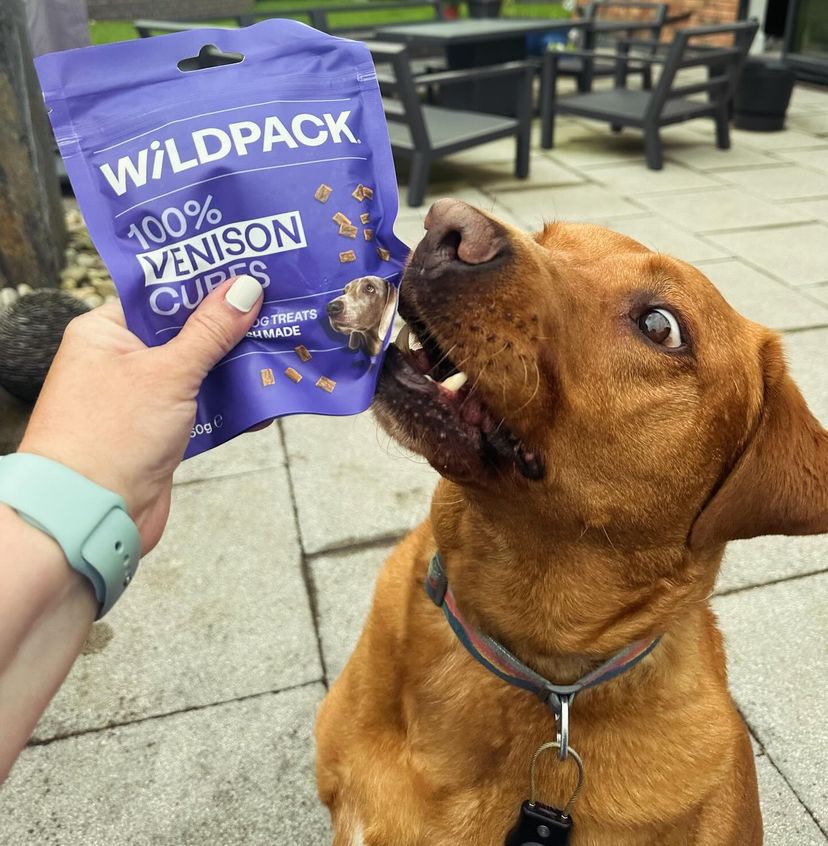 WILD PACK Venison Cubes - Natural Dog Treats - Image 2