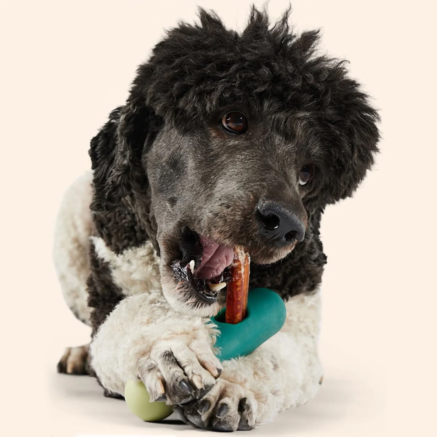 Woof BullySafe Bully Stick & Pizzle Chew Holder - Image 3