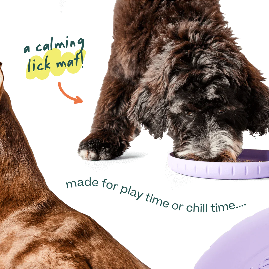 Woof Fly 'N' Feed Lavender Dog Frisbee & Lick Mat - Image 5