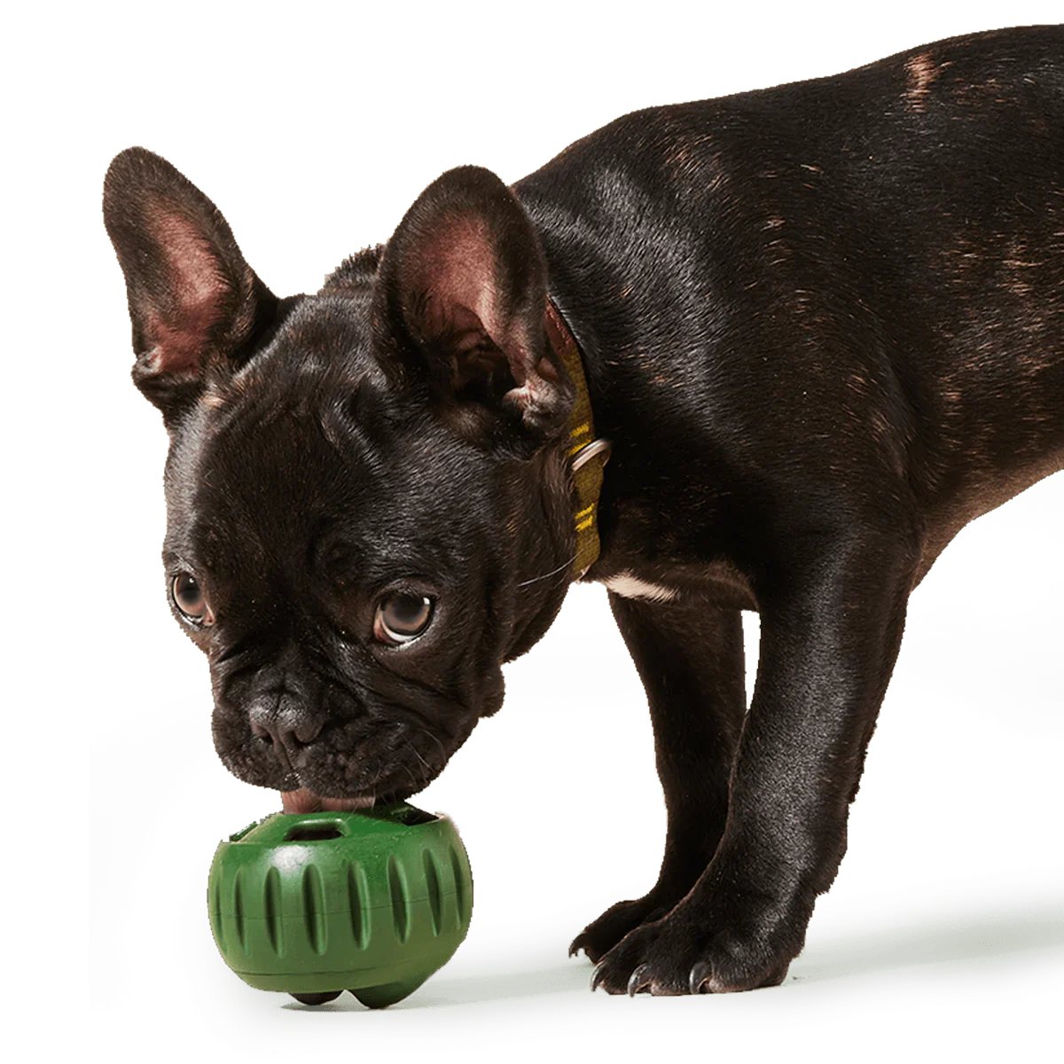 Woof Pupsicle Toy Treat Tray - Image 9