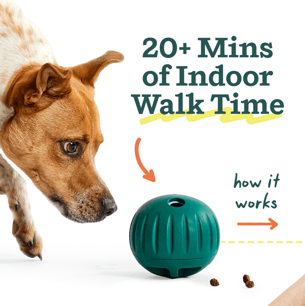 Woof Walkabout Slow Feeder Ball & Treat Puzzle Dog Toy - Image 4