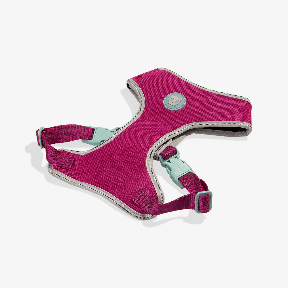 Zee.Dog Adjustable Air Mesh Harness for Dogs - NOX Sidus - Image 5