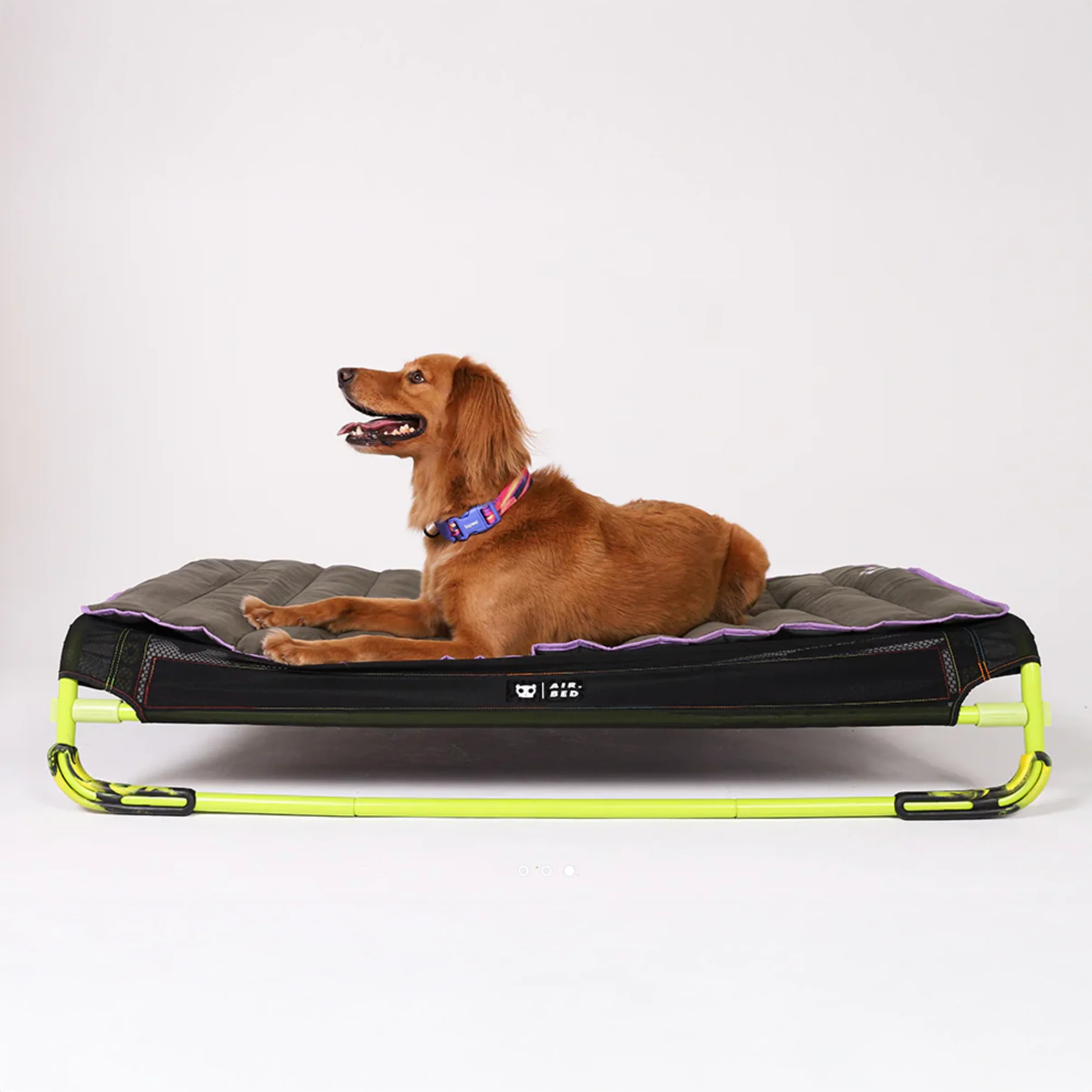 Zee.Dog Air.Mat - Image 10