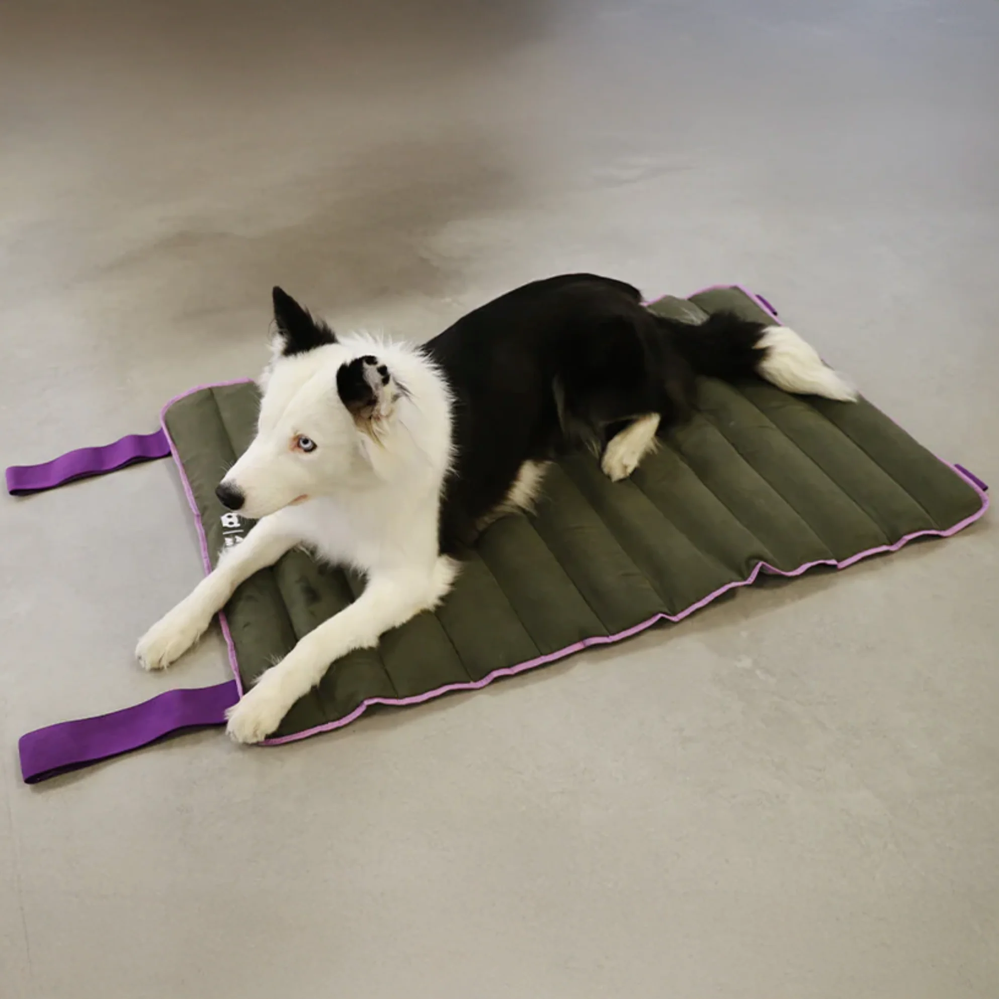 Zee.Dog Air.Mat - Image 8