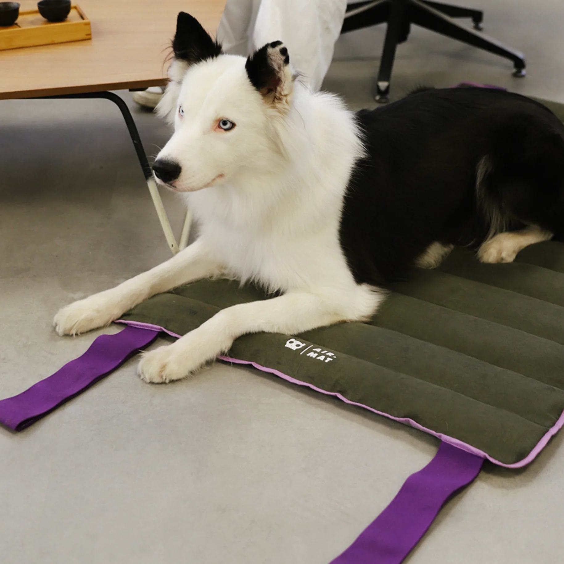 Zee.Dog Air.Mat - Image 9