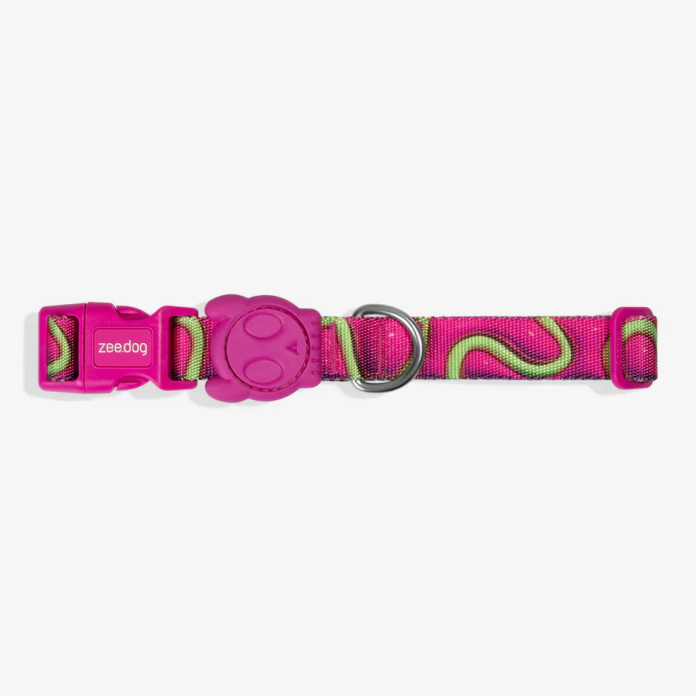 Zee.Dog H3D Dog Collar - Jelly - Image 2