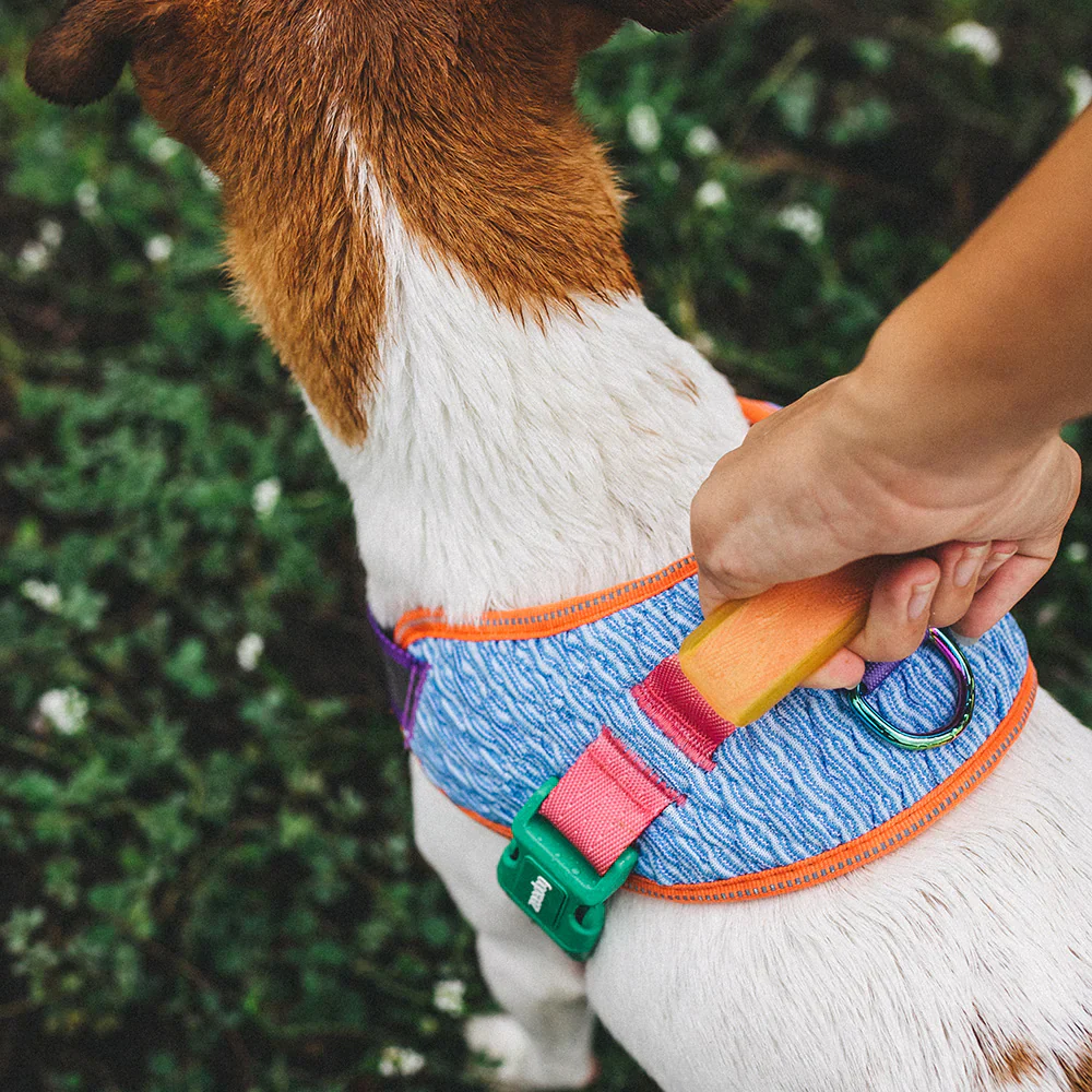 Zee.Dog Galaxy FlyHarness - Image 9