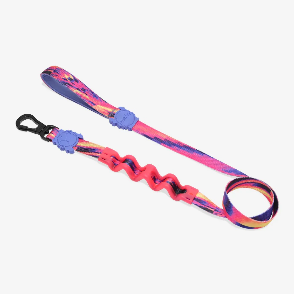Zee.Dog Glitch Ruff Leash Dog Lead - Glitch Error #500