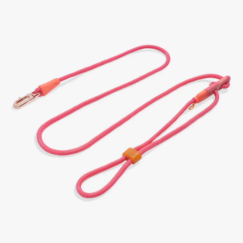 Zee.Dog Hands-Free Dog Lead - Gazelle