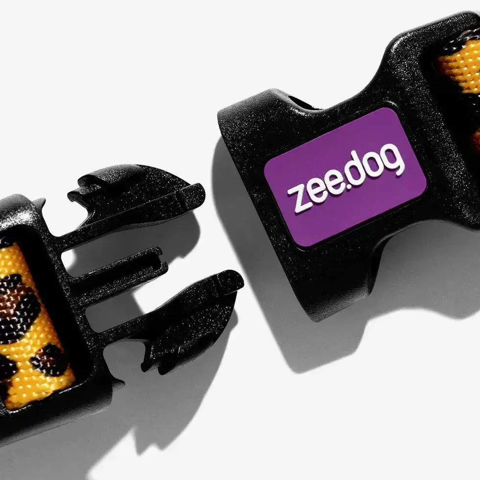 Zee.Dog Honey Dog Collar - Image 3