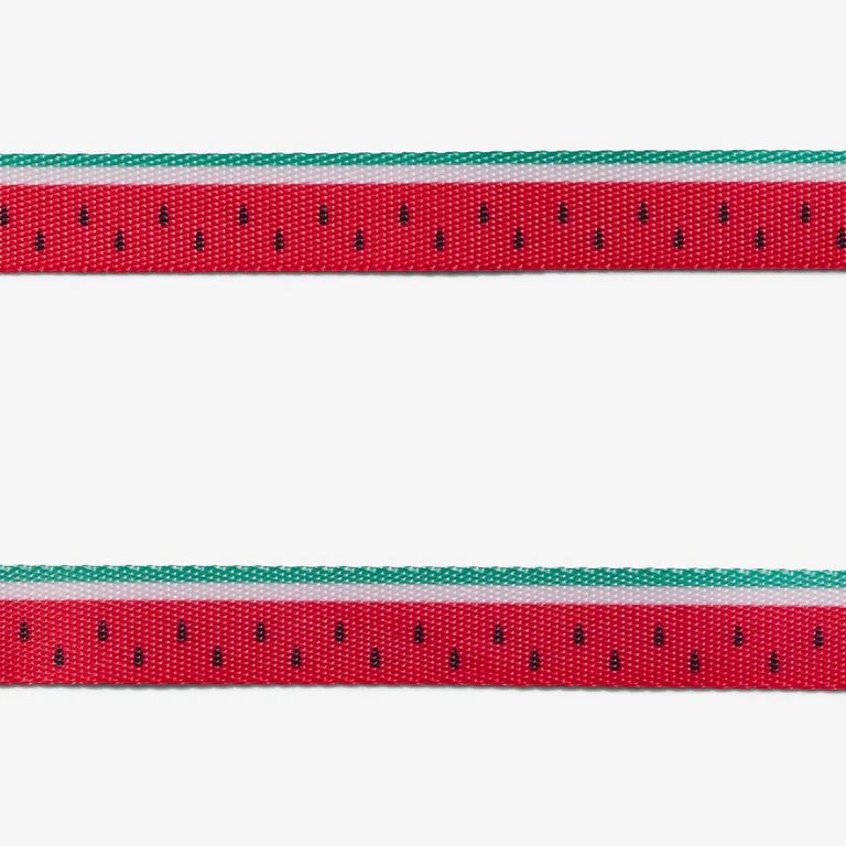 Zee.Dog Lola H-Harness for Dogs - Image 3