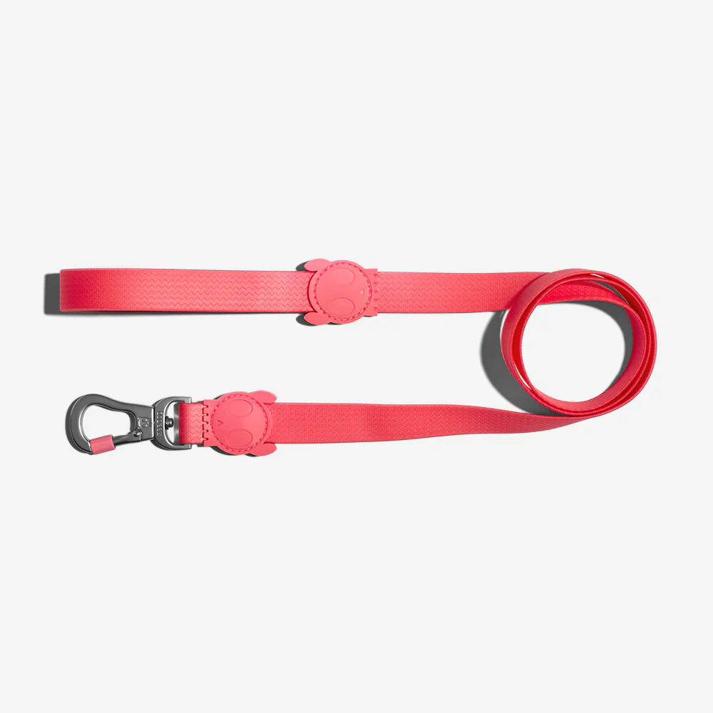 Zee.Dog Neopro Bubblegum Dog Lead - Image 3