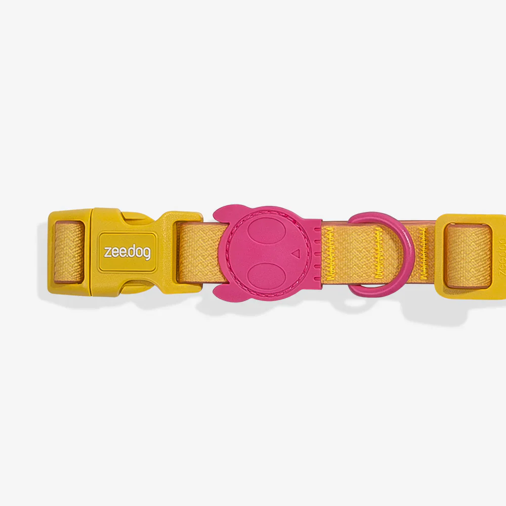Zee.Dog Neopro Lyra Dog Collar - Image 3
