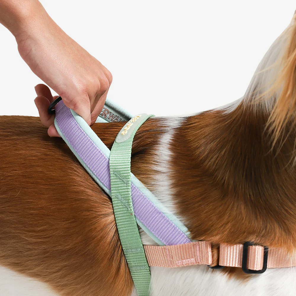 Zee.Dog Peach SofterWalk Harness - Image 3