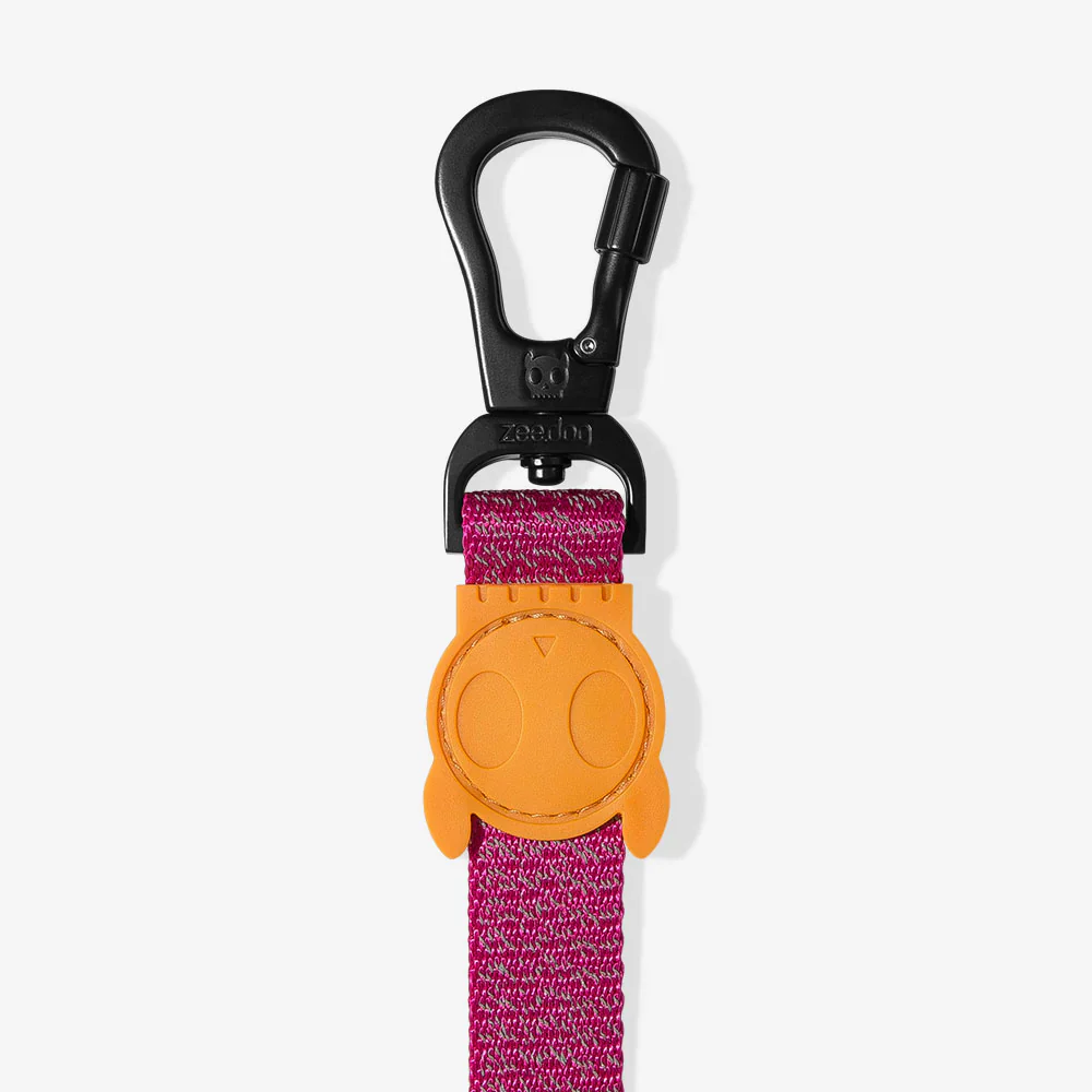 Zee.Dog Reflective Lead for Dogs - NOX Sidus - Image 2
