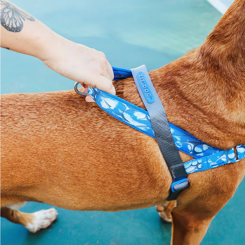 Zee.Dog SofterWalk Harness - H3D Fly